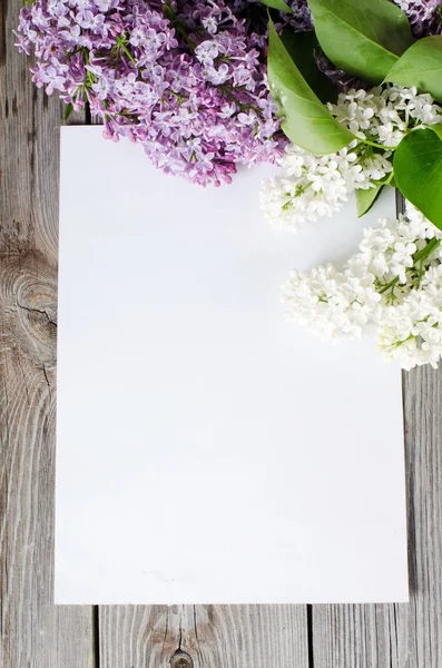 The beautiful lilac on wooden surface — Stock Photo, Image