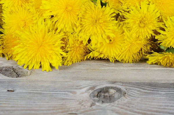 Žlutá Pampeliška na dřevěný podklad — Stock fotografie