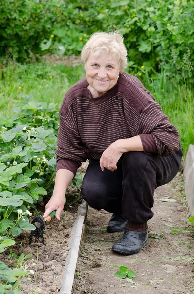 Starší žena pracuje na kuchyňské zahrady — Stock fotografie