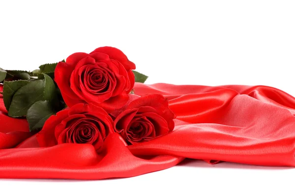 Rode roos geïsoleerd op een witte — Stockfoto