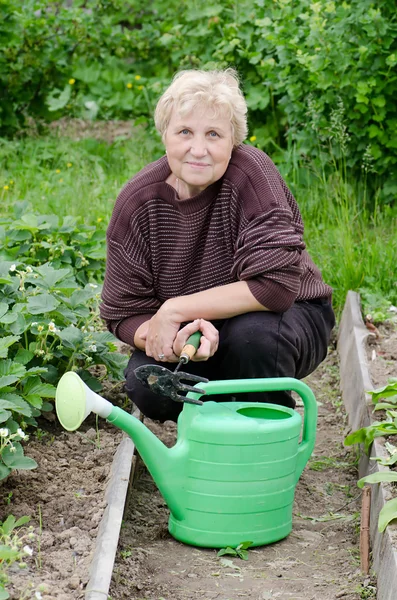 stock image The elderly woman works on a kitchen garden