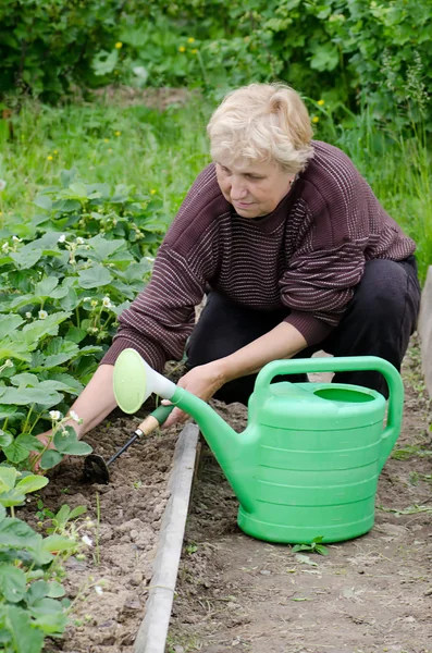 stock image The elderly woman works on a kitchen garden