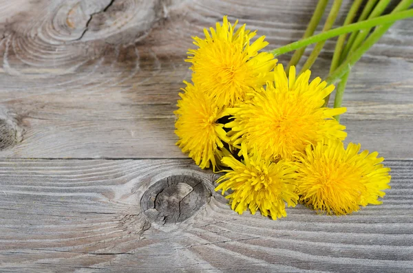 Kuning dandelion pada permukaan kayu — Stok Foto