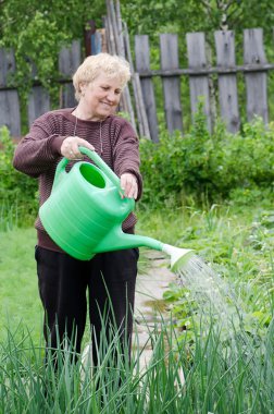 The elderly woman works on a kitchen garden clipart