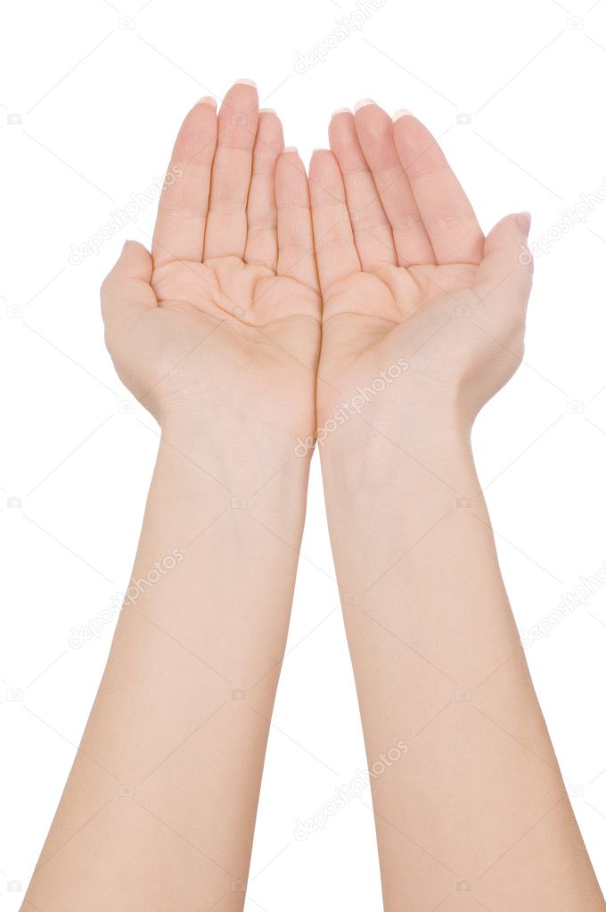 Female hands isolated