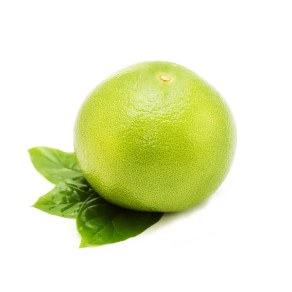 Свежие сочные грейпфруты с зелеными листьями — стоковое фото