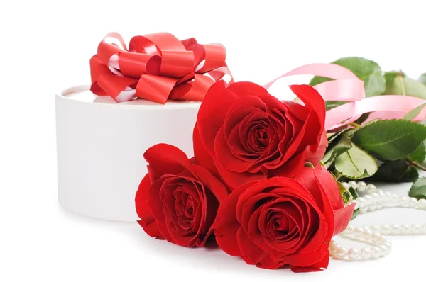 Rode roos geïsoleerd op witte achtergrond — Stockfoto