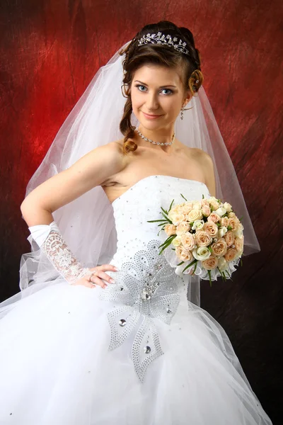 La hermosa novia — Foto de Stock