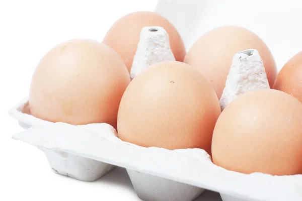 Ägg i kartong — Stockfoto