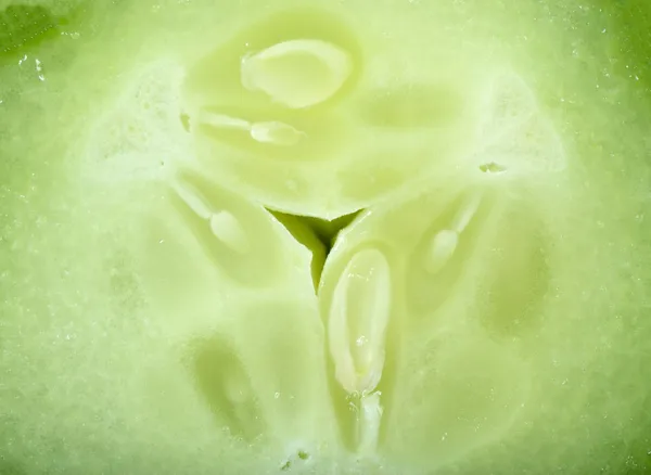 黄瓜 — 图库照片