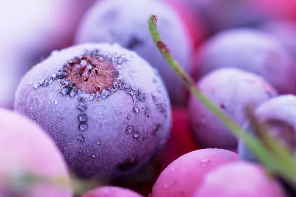 Замороженные ягоды Лицензионные Стоковые Фото