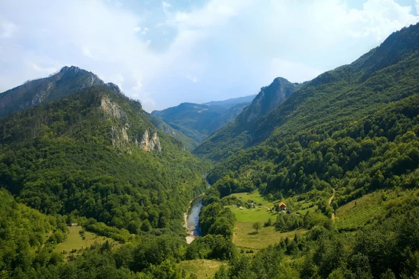Montenegro. bergen. Tara river canyon — Stockfoto