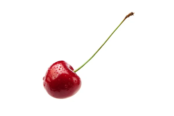 Sweet cherry — Stock fotografie