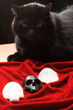 Black cat over skulls clipart