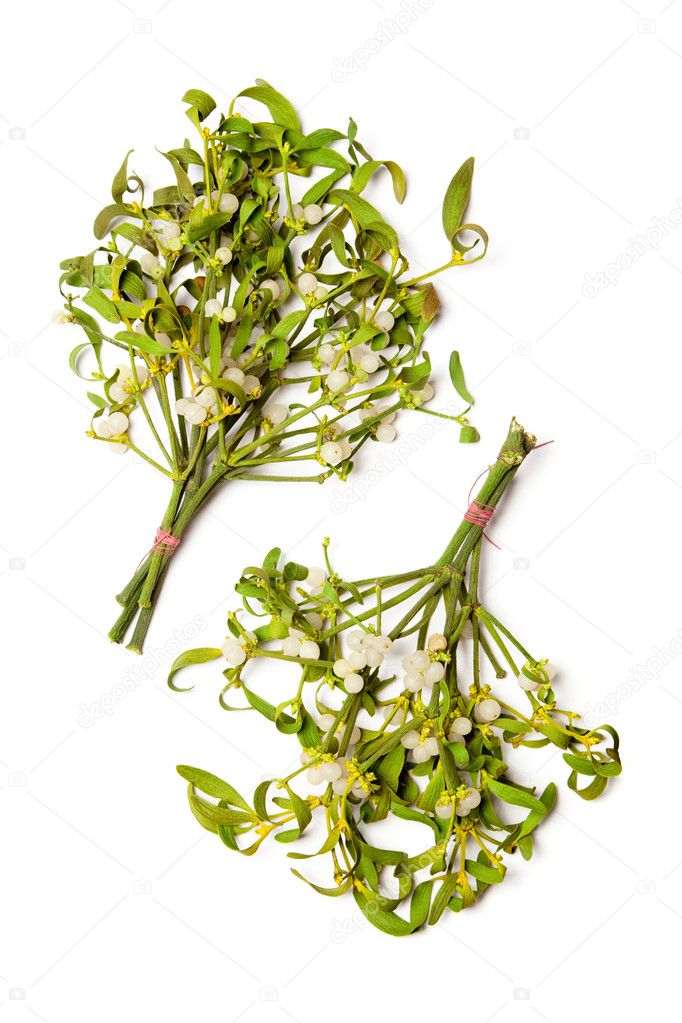 Mistletoe bouquets Stock Photo by ©de-kay 6207312