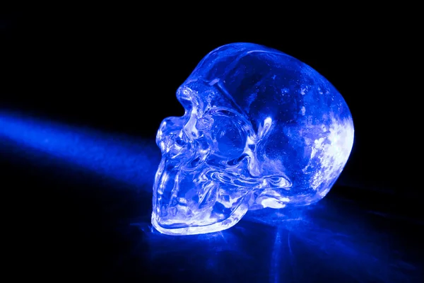 Crâne de verre — Photo