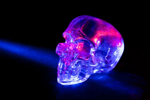 Crânio de vidro azul — Fotografia de Stock