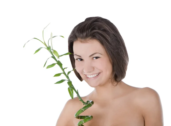 Mulher bonita com uma planta de bambu sobre branco — Fotografia de Stock