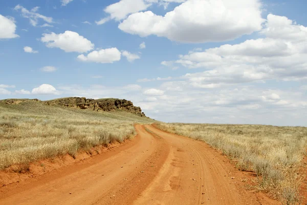 stock image Country road in the fields