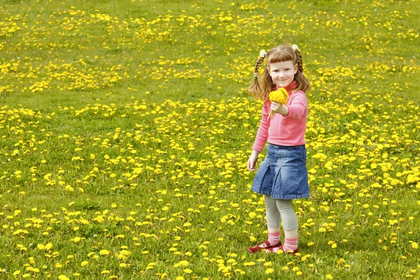 Linda niña en el prado —  Fotos de Stock