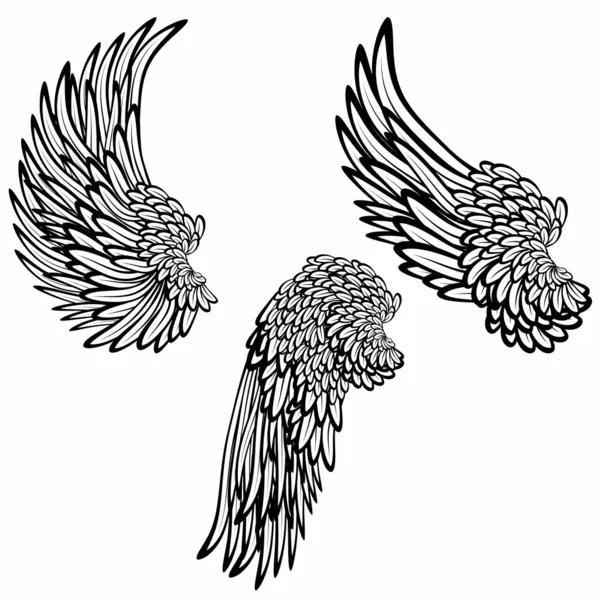 翼のセット — ストックベクタ