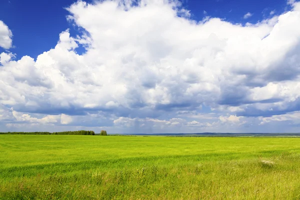 Cloudscape sobre campos verdes — Fotografia de Stock