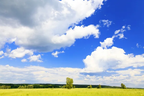Cloudscape καταπράσινα λιβάδια — Φωτογραφία Αρχείου