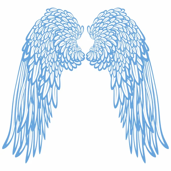 Pair of wings — Stock Vector