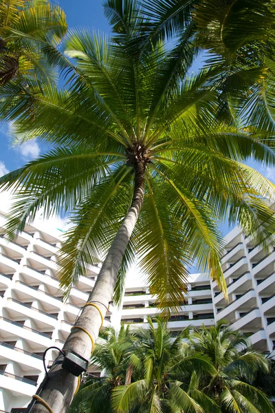 Resort de hotel — Fotografia de Stock