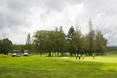 Golf Sahası