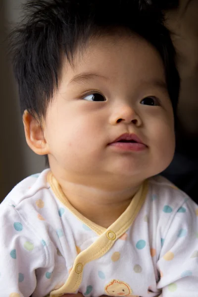 Petite Fille Bebe Chinoise Chubby Stock Photo