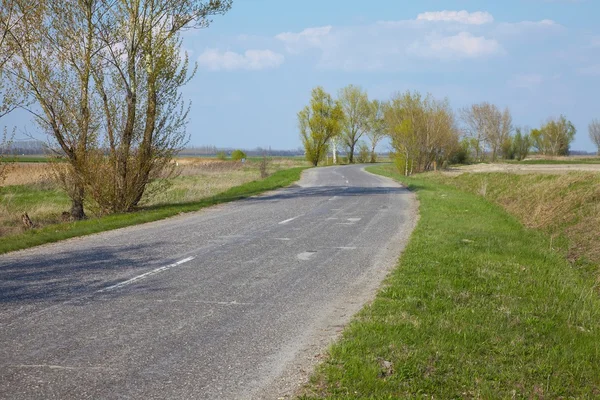 Rural Road — Stock Photo, Image