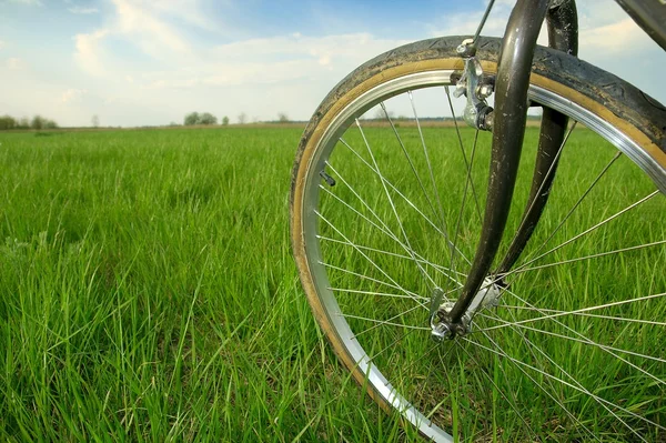 Ciclismo — Fotografia de Stock