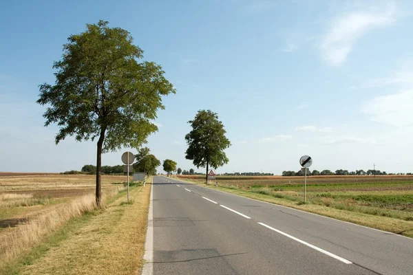 stock image Stright Road