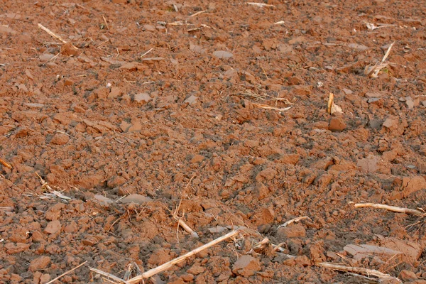Бурая почва — стоковое фото