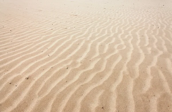 Lignes de sable — Photo