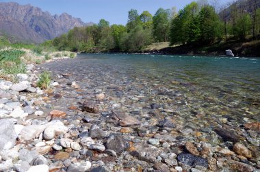 Yaz nehri manzarası