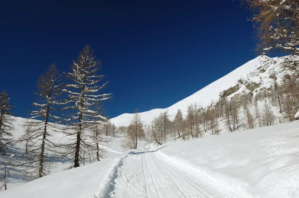 Paesaggio alpino invernale — Foto Stock