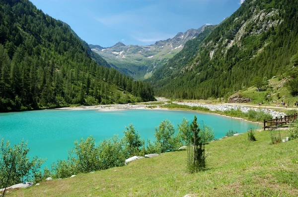 Letní alpské horské jezero krajina Royalty Free Stock Fotografie