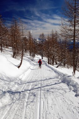 Woman snowshoeing descending clipart