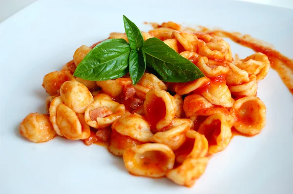 Orecchiette-pasta med tomatsås och basilika Royaltyfria Stockfoton