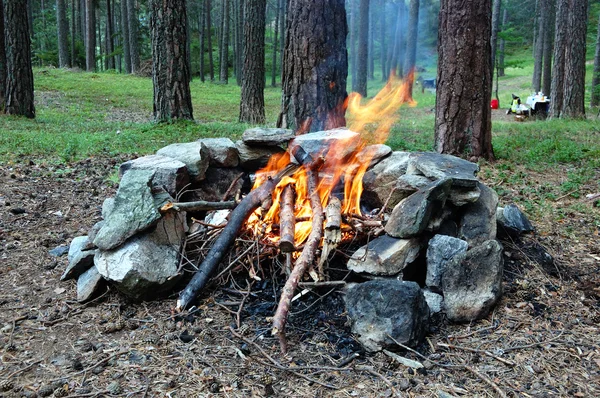 Campfire — Fotografie, imagine de stoc