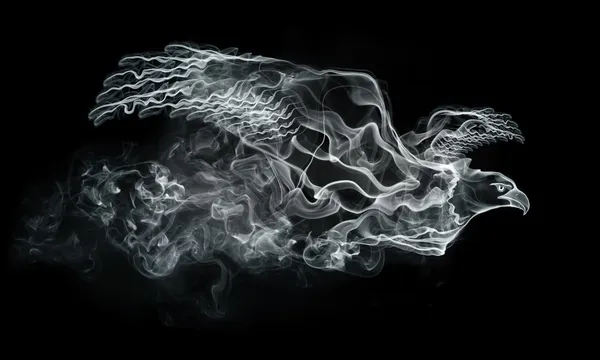 Águia de fumo — Fotografia de Stock