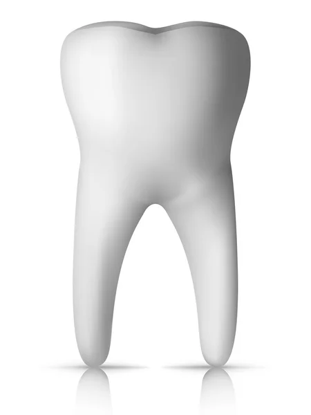 Molar Tooth — Stock Vector
