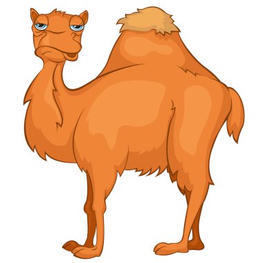 Cartoon Character Camel