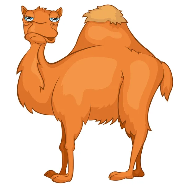 Personaje de dibujos animados Camel — Vector de stock