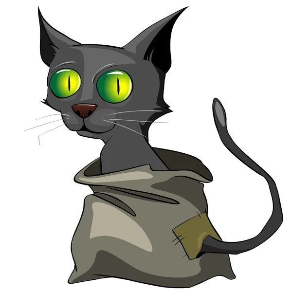 Tecknad karaktär katt — Stock vektor
