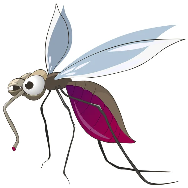 Tecknad karaktär mygga — Stock vektor
