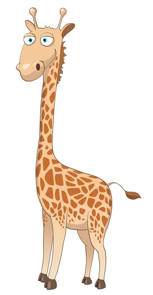 Zeichentrickfigur Giraffe — Stockvektor