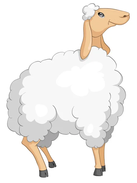 Caractère de dessin animé moutons — Image vectorielle